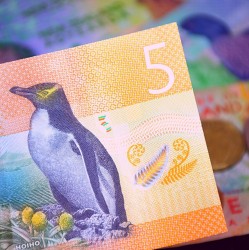 IBNS išrinko 2015 m. banknotą
