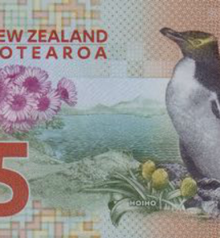 2015 m. laidos N. Zelandijos 5 dolerių banknoto reversas