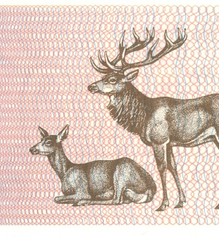 1992 m. 200 talonų. Reversas