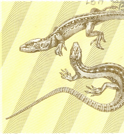 1991 m. 1 talonas. Reversas