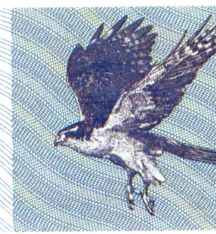 1991 m. 5 talonai. Reversas