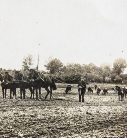 The photo used as a picture for the The 10 litas banknote of 1927