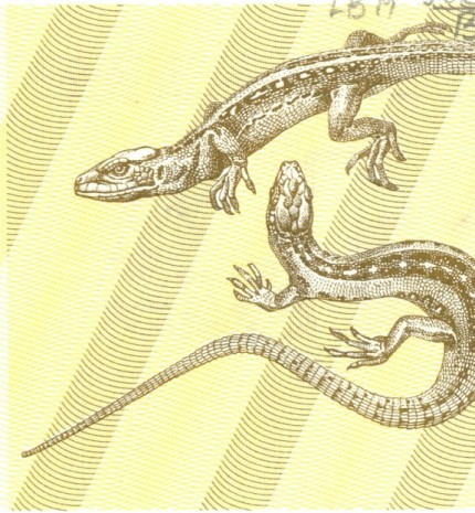 1 talonas note issued 1991. Obverse.
