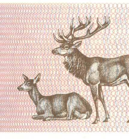 200  talonas note issued 1992. Obverse.
