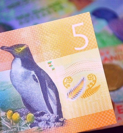 IBNS išrinko 2015 m. banknotą