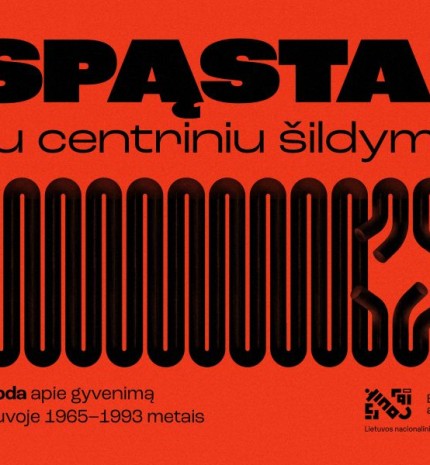 paroda-spastai-su-centriniu-sildymu-800x600.jpg