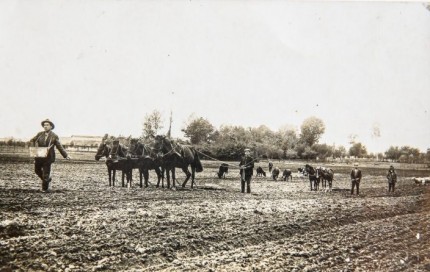 Sėjos nuotrauka, kuri panaudota banknoto kūrime. (Nuotrauka eksponuojama Vilniuje (A. ir A. Tamošaičių galerijoje)
