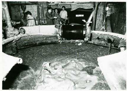 Historic pictures. Destroying talonas