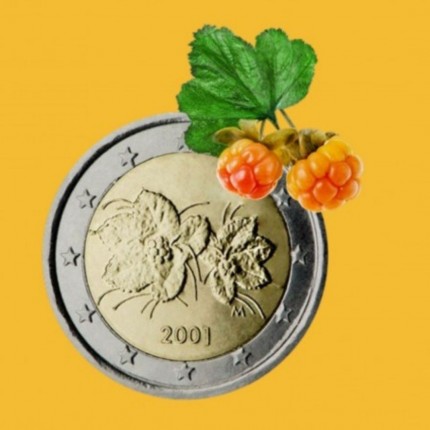 Kas vaizduojama ant eurų monetų? Suomija