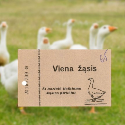 Geese card